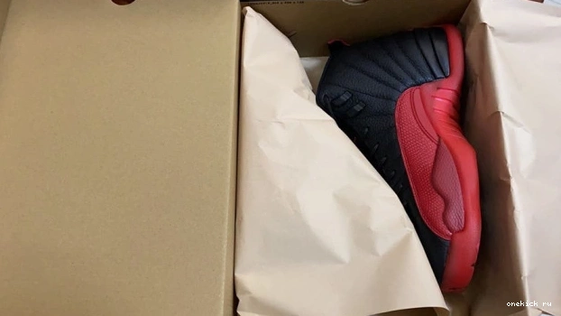 Rep Onekick (2016) 130690 002 Jordan Flu Game 12 Retro 0611